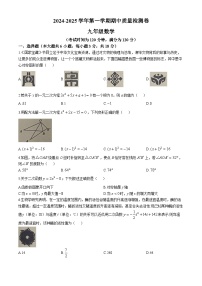 江西省赣州市于都县2024-2025学年 上学期九年级数学期中试卷(无答案)