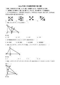 江西省赣州市瑞金市2024—2025学年上学期期中考试八年级数学考试试题(无答案)