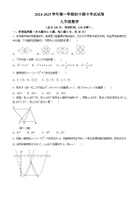 江西省赣州市龙南市2024-2025学年九年级上学期11月期中数学试题