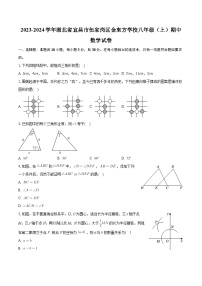 湖北省宜昌市伍家岗区金东方学校2023-2024学年八年级上学期期中考试数学试卷