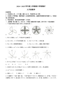 河南省驻马店市平舆县2024--2025学年上学期期中测试九年级数学试卷