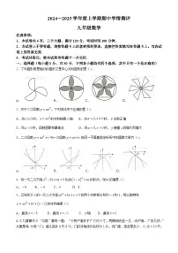 河南省驻马店市平舆县2024--2025学年上学期期中测试九年级数学试卷