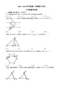 河南省商丘市2024-2025学年七年级上学期11月期中数学试题(无答案)