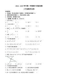 河南省洛阳市宜阳县2024-2025学年八年级上学期期中考试数学试题