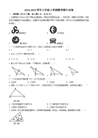 河南省 许昌市建安区第三中学2024-2025学年八年级数学上学期期中试卷(无答案)