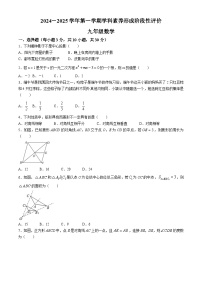 广东省深圳市龙华区第二实验教育集团2024-2025学年上学期期中考试九年级数学试题(无答案)