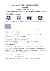 福建省福州市闽清县2024-2025学年九年级上学期11月期中考试数学试题