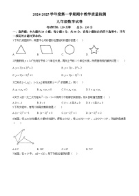 广东省 东莞市石排中学2024-2025学年上学期九年级数学期中试卷(无答案)