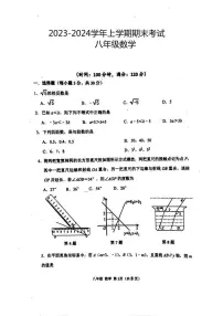 2023-2024学年河南省洛阳市八年级（上）期末数学试卷
