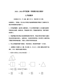 广东省河源市紫金县2023-2024学年九年级上学期期末数学试题(含解析)