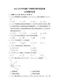 广西梧州市苍梧县2022-2023学年七年级（上）期末数学试卷