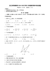 湖南省益阳市沅江市四校联考2024-2025学年八年级上学期11月期中考试数学试题