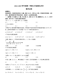 安徽省合肥市第三十八中学2024-2025学年七年级上学期数学期中测试卷(无答案)