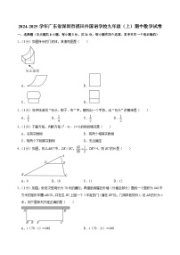 广东省深圳市福田区外国语学校（集团）2024-2025学年九年级上学期11月期中考试数学试题