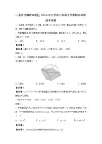 山东省济南市高新区2024-2025学年七年级上学期期中考试数学试卷（解析版）