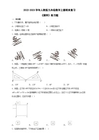 人教版数学九年级上册 期末复习：《旋转》练习题（含答案）