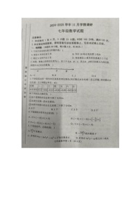 河南省洛阳市洛宁县2024-2025学年上学期11月期中学情调研七年级数学试卷