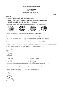 山东省临沂市罗庄区2024-2025学年九年级上学期11月期中数学试题