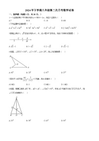 湖南省邵阳市新宁县城区及周边期中联考2024-2025学年八年级上学期11月期中数学试题(无答案)