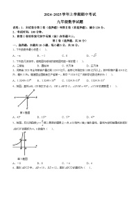 河南省郑州市桐柏一中、一中高新实验等联考2024-2025学年九年级上学期期中考试数学试卷