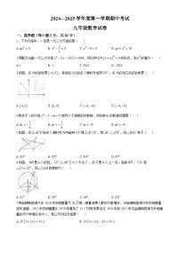 河南省商丘市夏邑县2024-2025学年九年级上学期11月期中数学试题