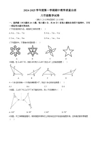 广东省东莞市石龙第二中学2024-2025学年八年级上学期数学期中试卷(无答案)