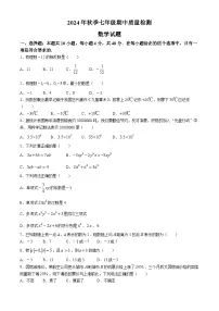 福建省泉州市晋江市第一中学2024-2025学年七年级上学期期中考试数学试卷(无答案)