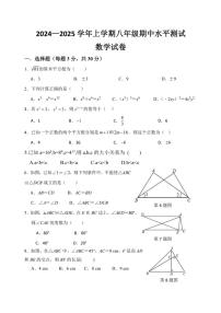 河南省新乡市原阳县2024～2025学年八年级(上)期中数学试卷(含答案)