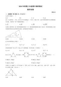 河南省南阳市镇平县2024～2025学年八年级(上)期中数学试卷(含答案)