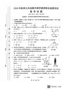 福建省泉州市泉港区2024～2025学年九年级(上)期中数学试卷(含答案)