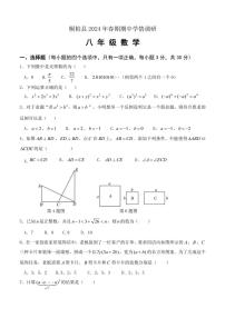 河南省南阳市桐柏县2024～2025学年八年级(上)期中数学试卷(含答案)