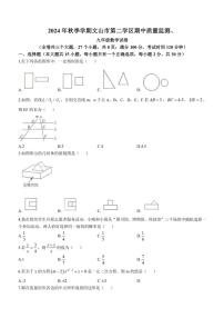 云南省文山壮族苗族自治州文山市文山市第二学区2024～2025学年九年级上学期11月期中数学试题（含答案）