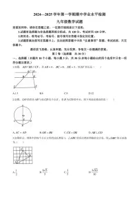 山东省聊城市冠县2024～2025学年九年级上学期11月期中考试数学试题（含答案）