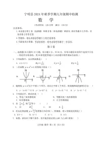 广西崇左市宁明县2024～2025学年九年级上学期11月期中数学试题（含答案）