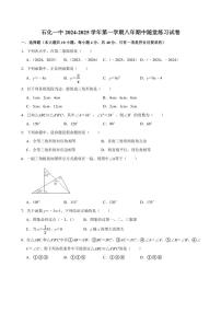 安徽省安庆市石化第一中学2024～2025学年八年级上学期11月期中数学试题（含详解）