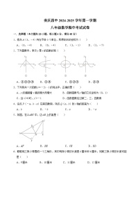 安徽省安庆市第四中学2024-2025学年八年级上学期期中考试数学试卷