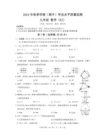 广西河池市凤山县2024-2025学年九年级上学期11月期中检测数学试题