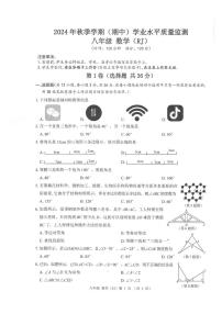 广西河池市凤山县2024-2025学年八年级上学期11月期中检测数学试题