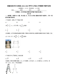 福建省泉州市安溪县2024-2025学年九年级上学期期中数学试卷