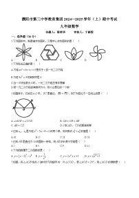 河南省濮阳市第三中学2024-2025学年九年级上学期期中考试数学试卷