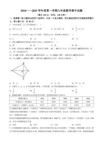 山东省菏泽市2024—2025学年上学期九年级数学期中试题(含答案)