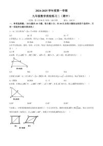 广东省茂名市茂南区直属学校2024～2025学年上学期九年级数学期中考试试卷（含答案）