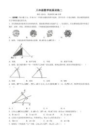 河南省安阳市滑县2024～2025学年八年级上学期11月期中数学试题(含答案)