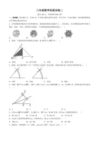 河南省安阳市滑县2024～2025学年八年级上学期11月期中数学试题(含答案)