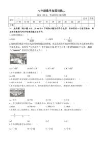 河南省安阳市滑县2024～2025学年七年级上学期11月期中数学试题（含答案）