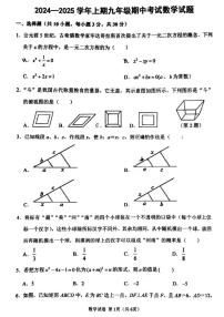 2024-2025郑州外国语中学等校联考九上期中数学试卷及答案