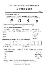 湖北省武汉市汉阳区2024-2025学年九年级上学期11月期中考试数学试题