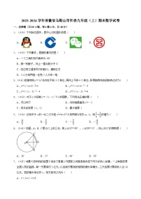 2023-2024学年安徽省马鞍山市和县九年级（上）期末数学试卷