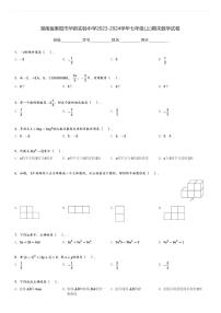 湖南省衡阳市华新实验中学2023-2024学年七年级(上)期末数学试卷(含解析)
