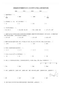 湖南省株洲市醴陵市2023-2024学年七年级(上)期末数学试卷(含解析)